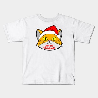 Funny Cute Cat Celebrate Christmas Kids T-Shirt